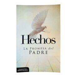 Hechos La Promesa Del Padre