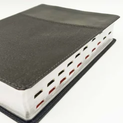 Biblia de Estudio Ryrie ampliada negro con índice