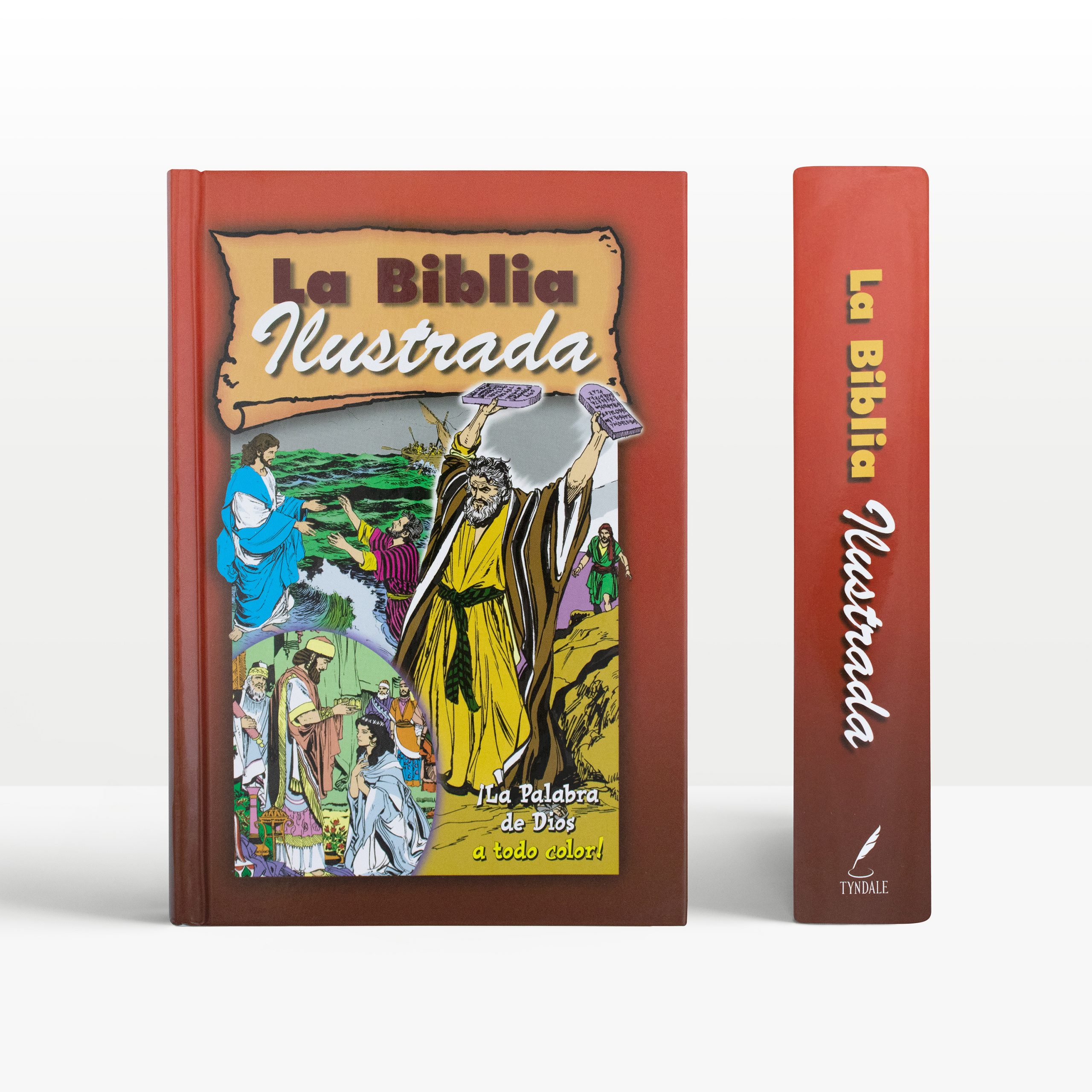 biblia ilustrada para adultos