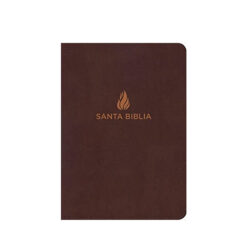 Biblia Letra Gigante Vino Imitación Piel