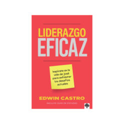 Liderazgo Eficaz