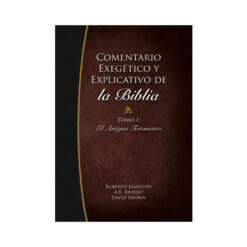 Comentario Exegético Y Explicativo Antiguo Testamento