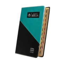 Biblia RVR 1960 Biblia Triangular Letra Gigante