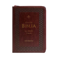 Biblia RVR1960 Tradicional Marron Cierre