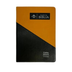 Biblia Rv60 Triangular Negro/Café Letra Grande 15 pts