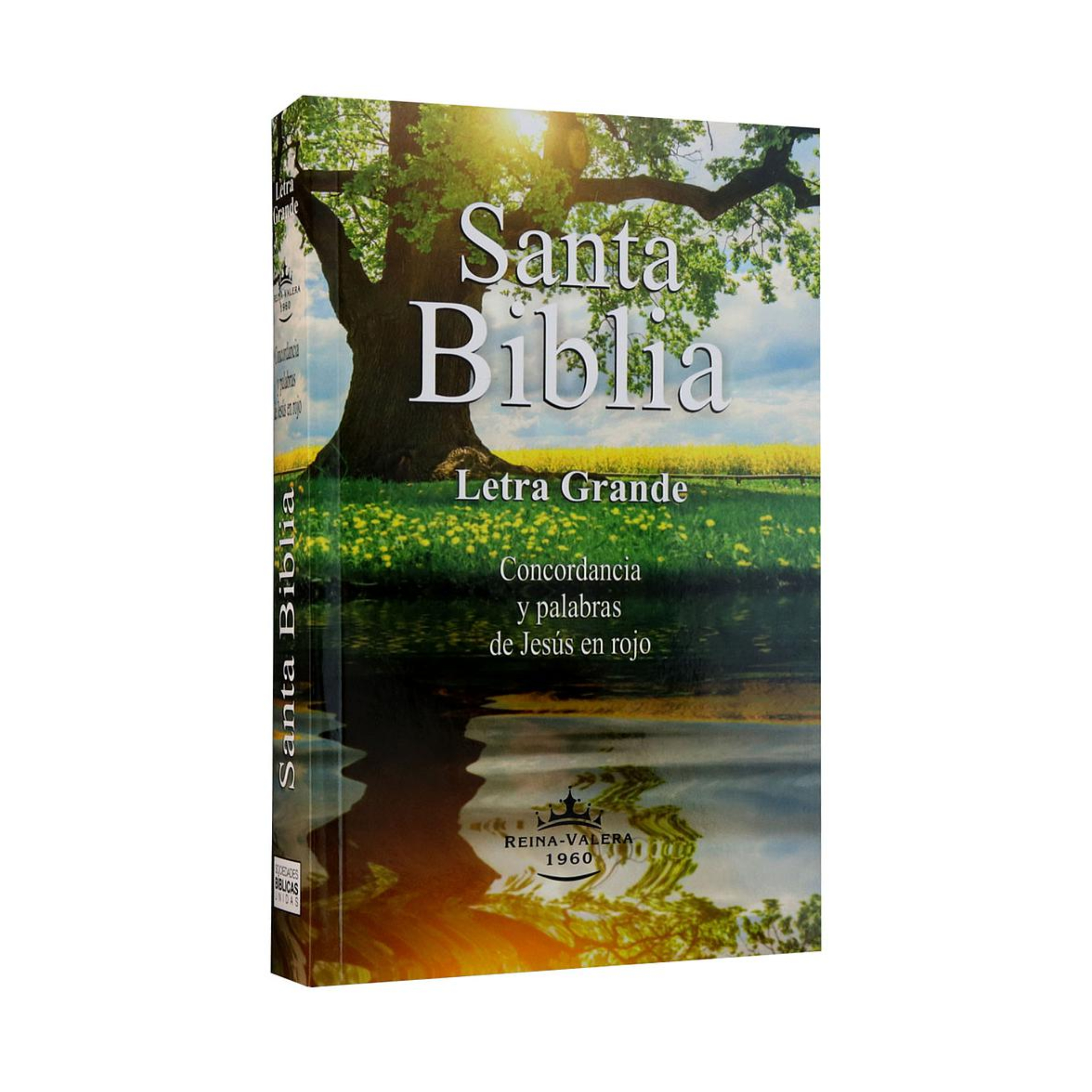 ElCaracterDelDiscipulo(365)