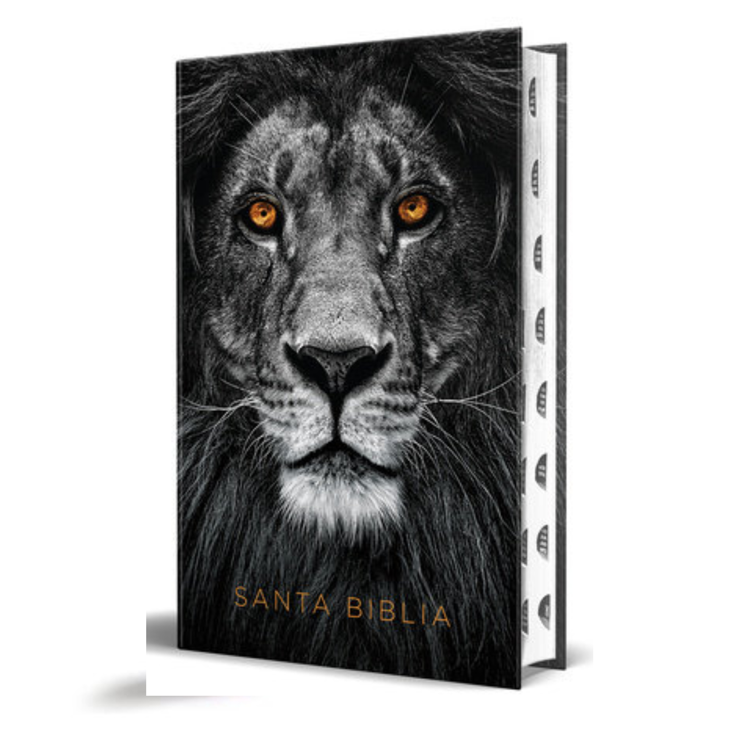 ElCaracterDelDiscipulo(371)