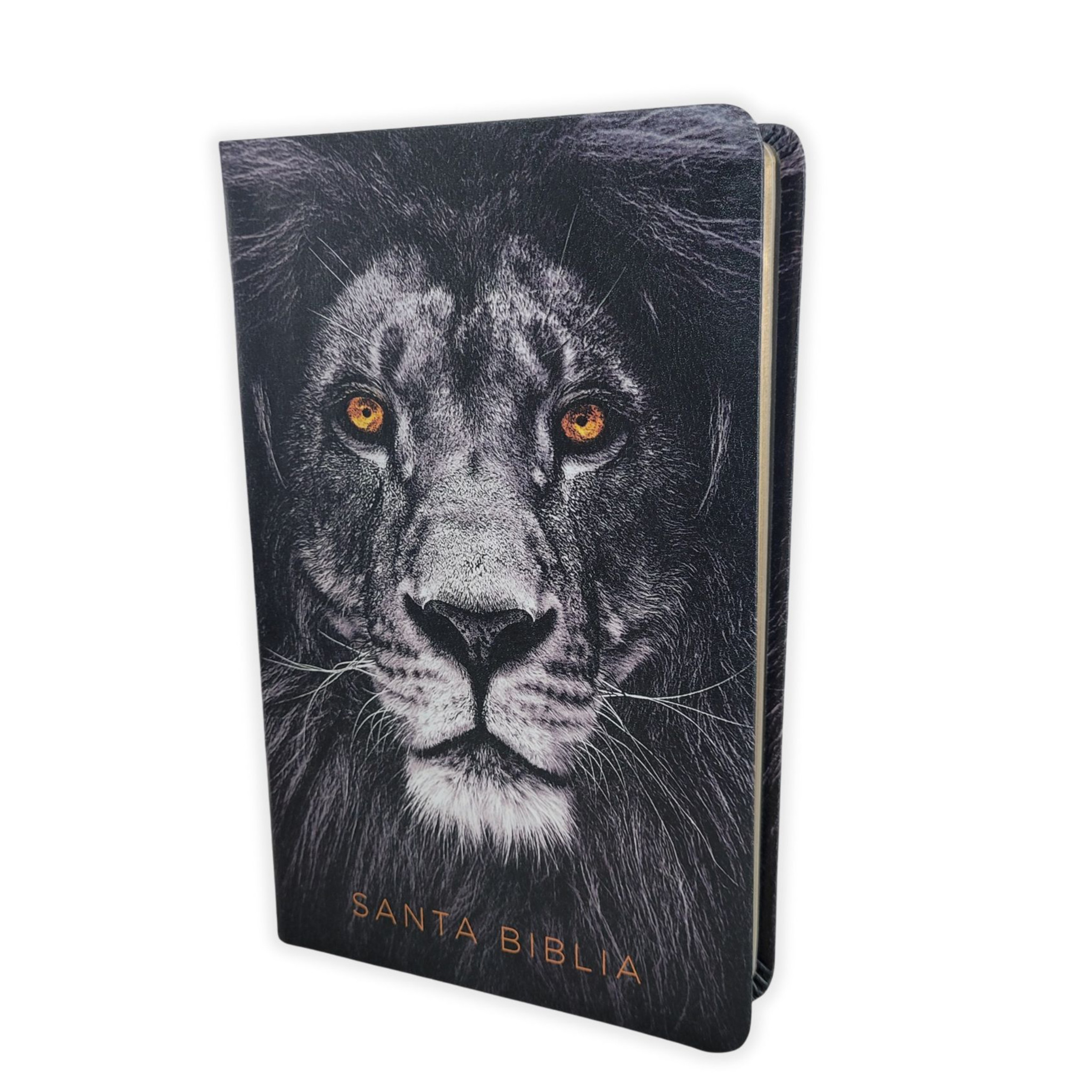 ElCaracterDelDiscipulo(373)