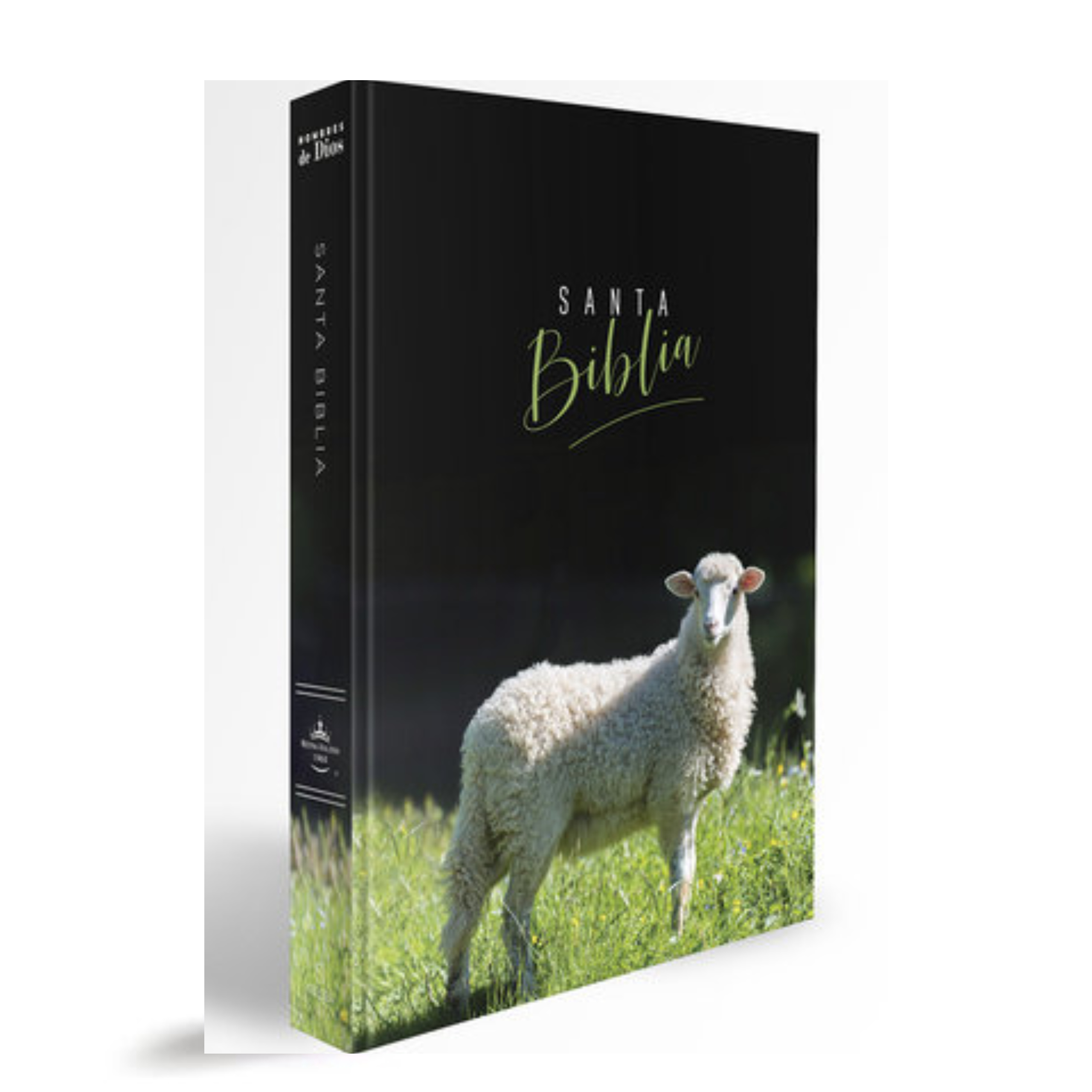 ElCaracterDelDiscipulo(376)