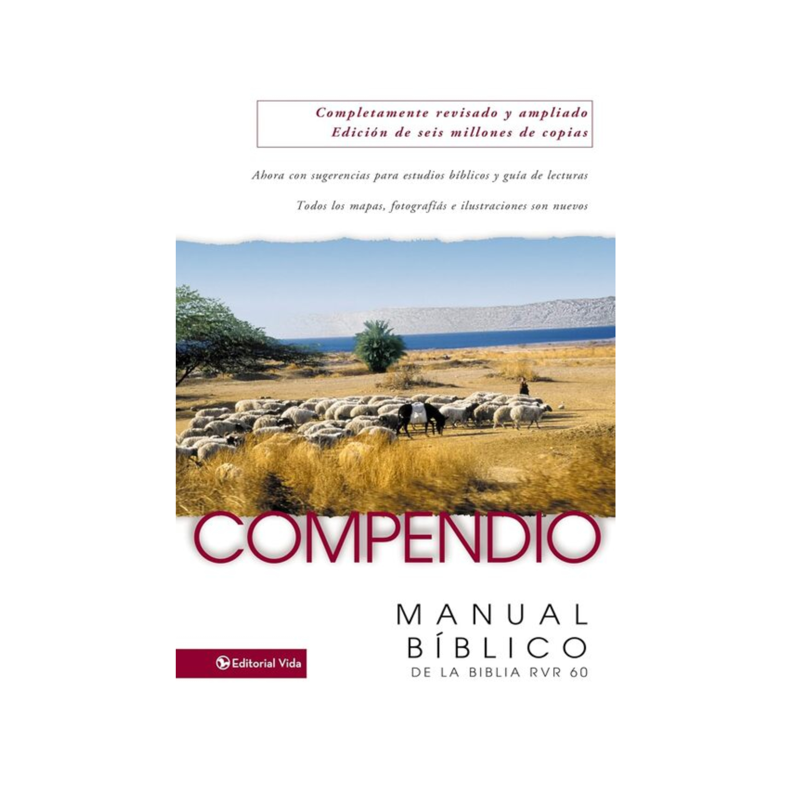 ElCaracterDelDiscipulo(381)