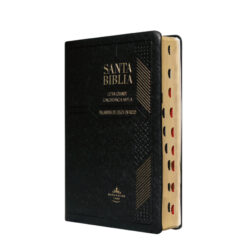 Biblia Reina Valera 1960 Mediana Letra Grande Vinil Negro