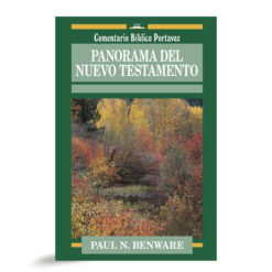 Panorama Del Nuevo Testamento