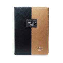 Combo Biblia – Letra Super Gigante 19 puntos + Letra Gigante 15 Puntos