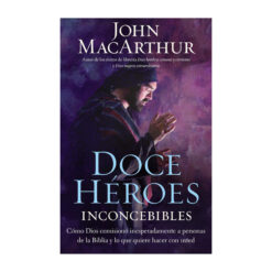 Doce héroes inconcebibles: Cómo comisionó Dios a personas impensadas en la Biblia y lo que quiere hacer con usted