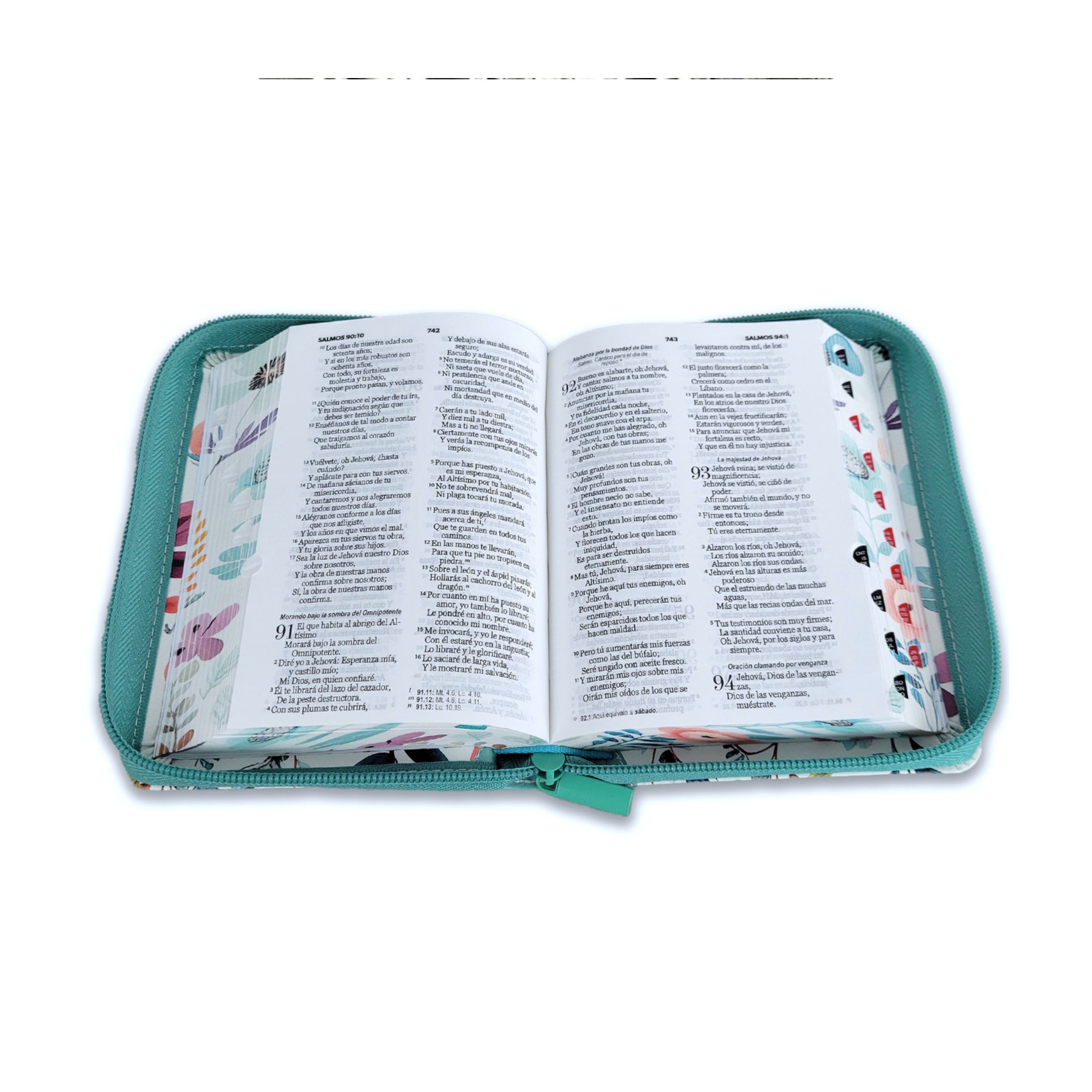 ElCaracterDelDiscipulo(727)(404)