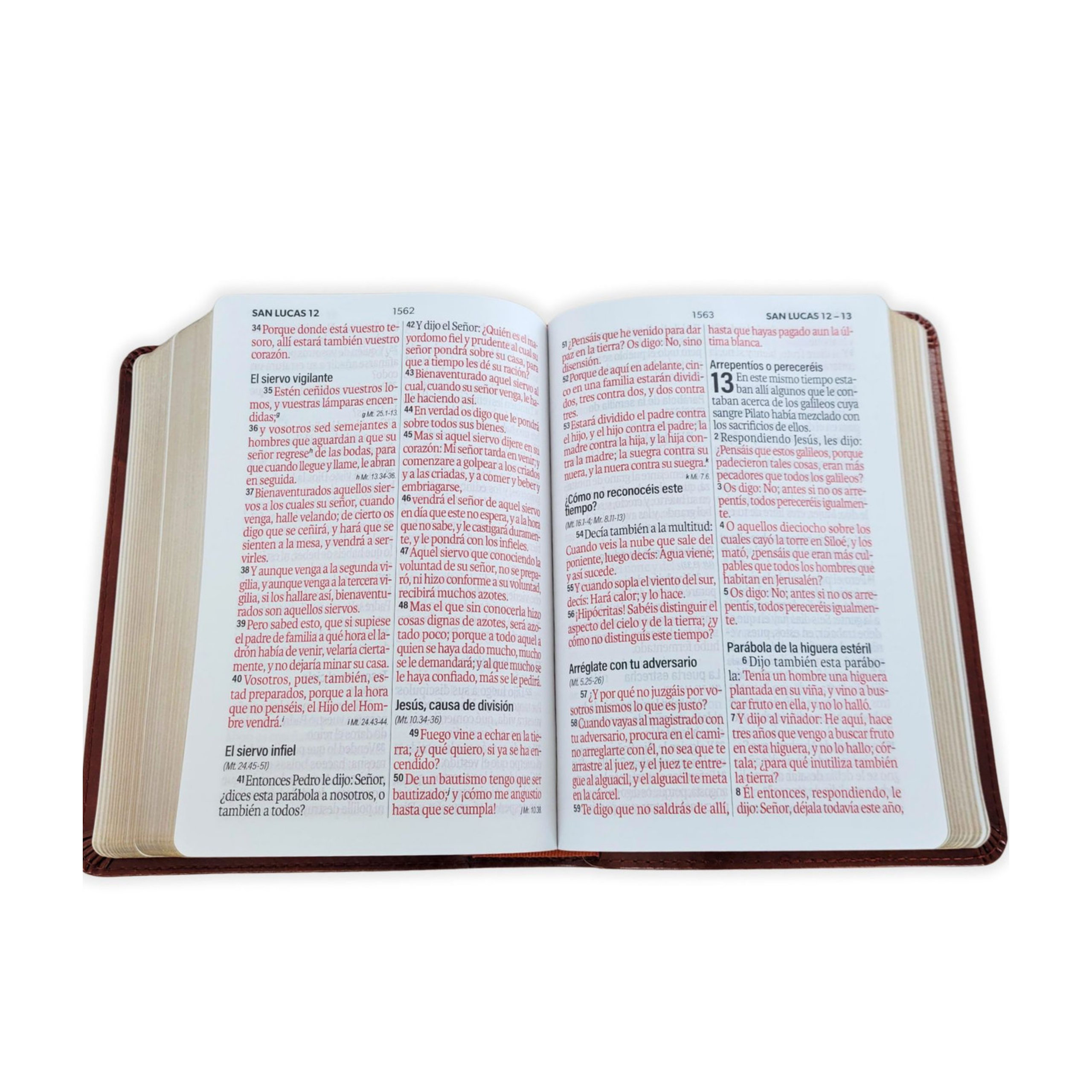 ElCaracterDelDiscipulo(727)(406)