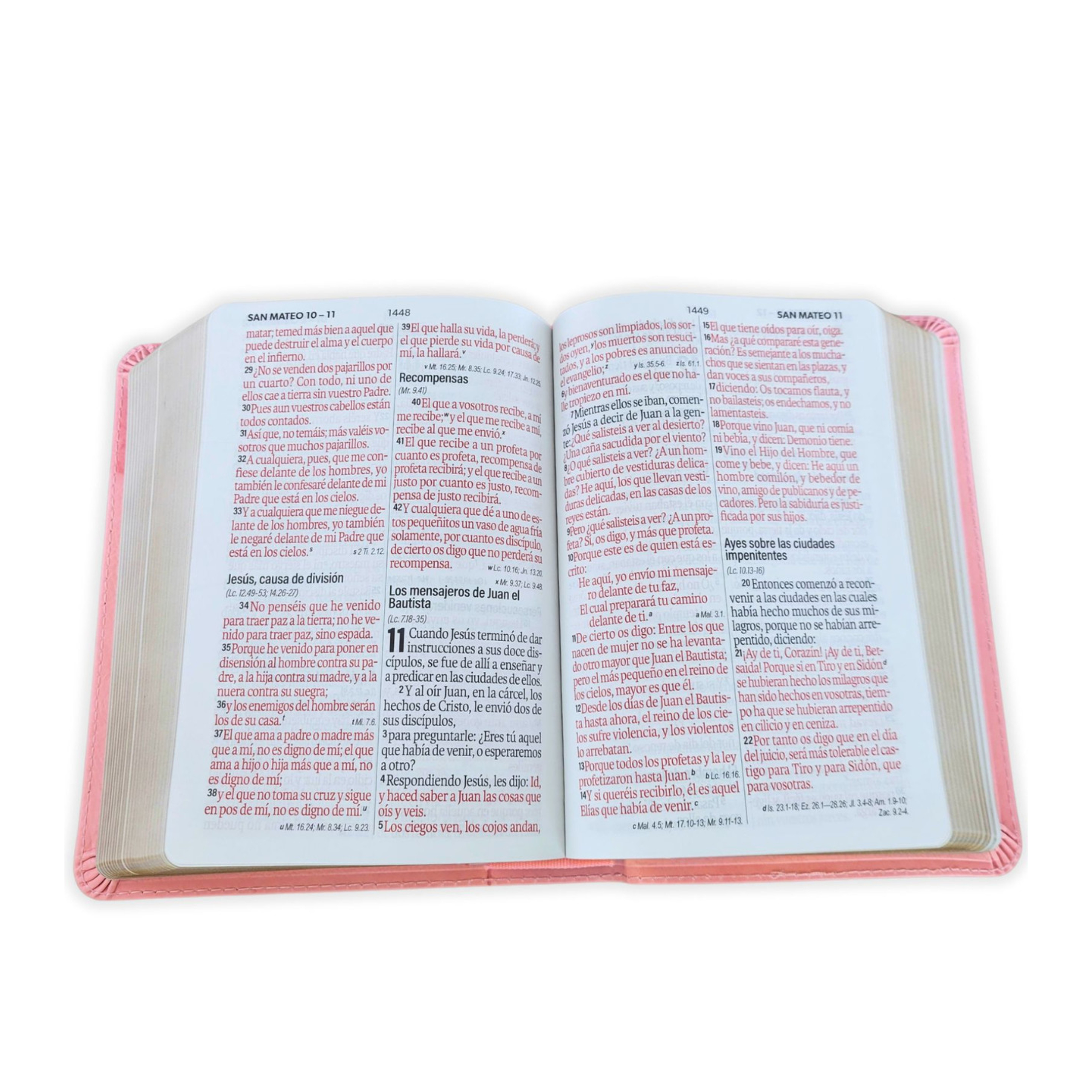 ElCaracterDelDiscipulo(727)(409)
