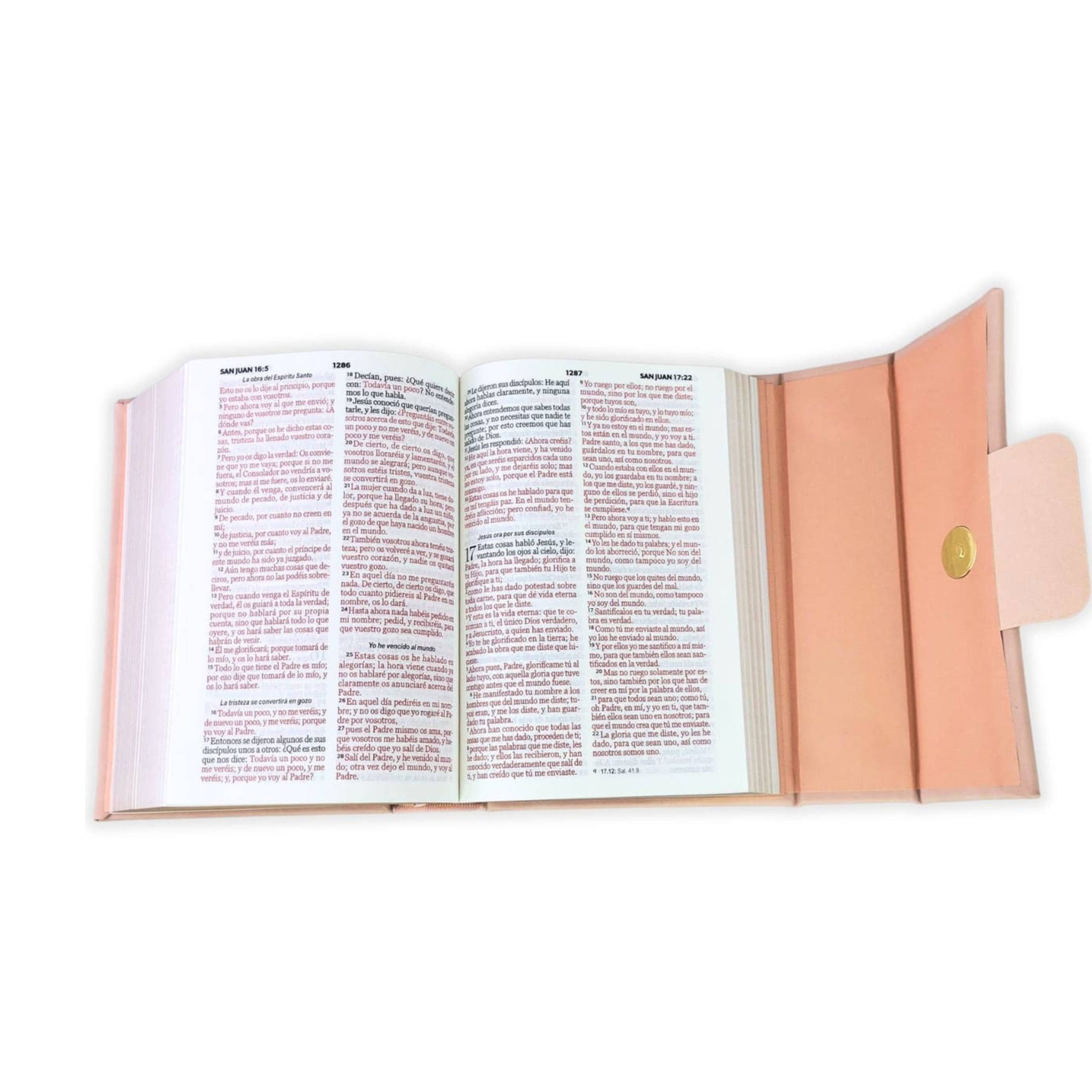 ElCaracterDelDiscipulo(727)(421)