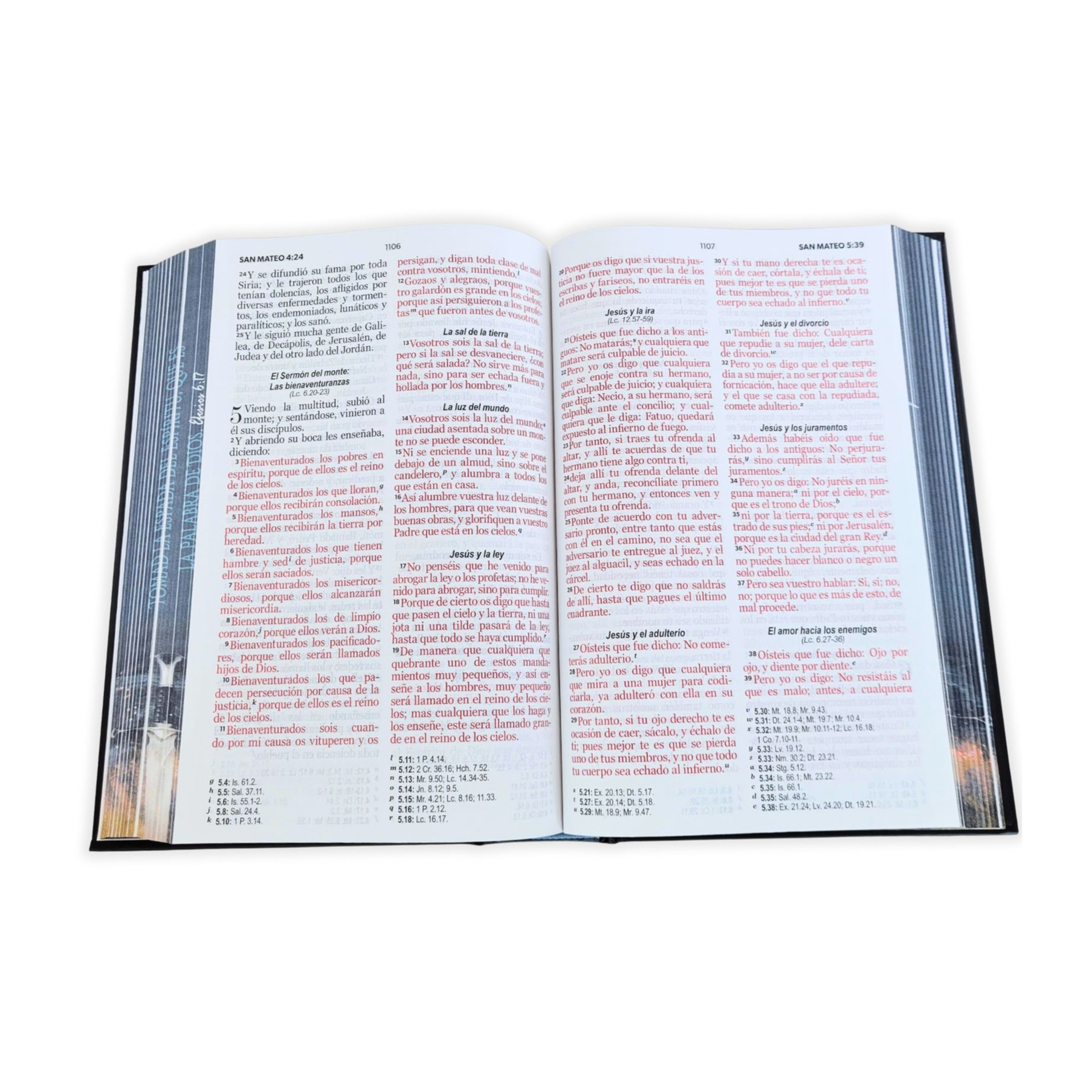 ElCaracterDelDiscipulo(727)(425)