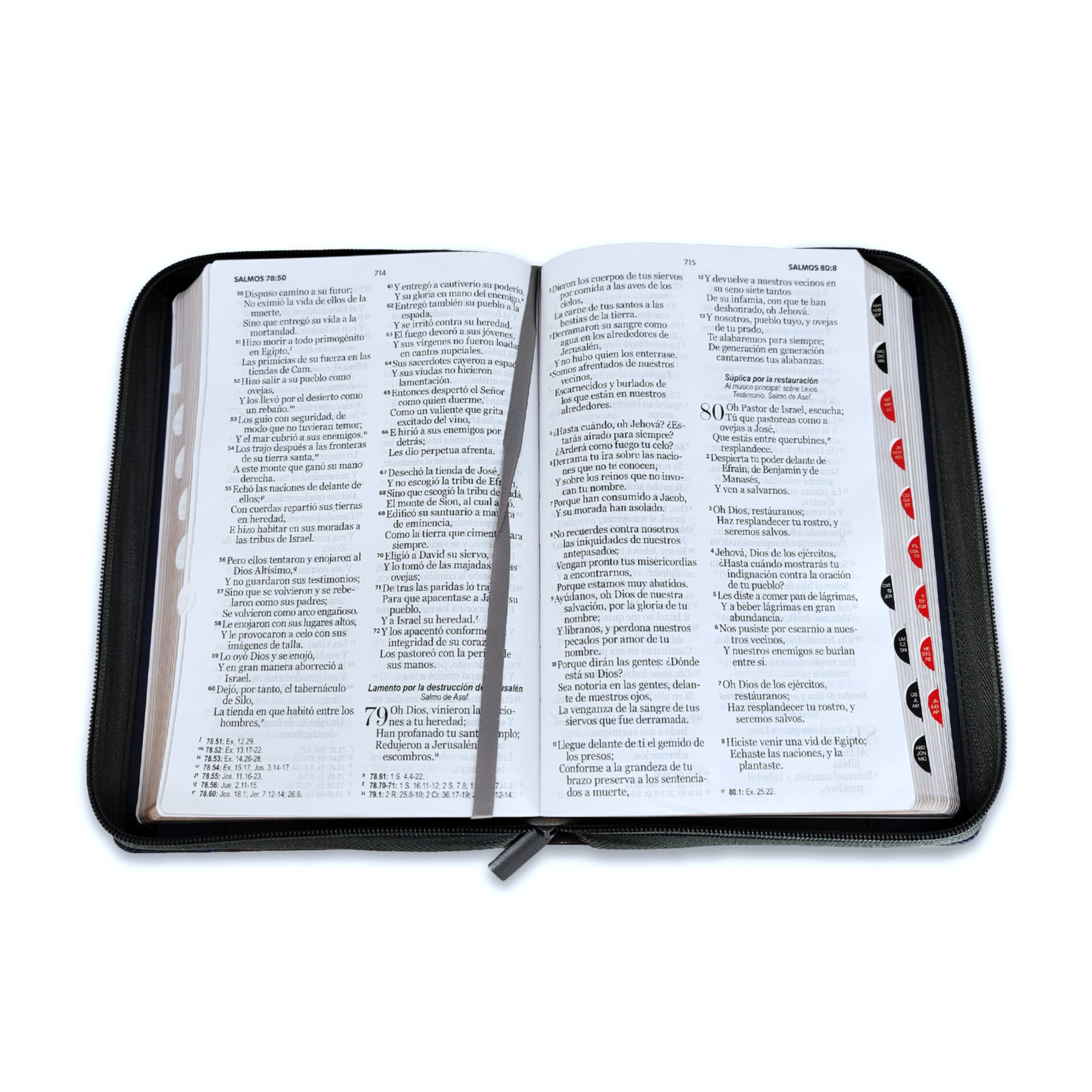 ElCaracterDelDiscipulo(727)(428)