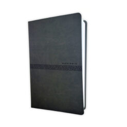 Biblia con Imágenes de la Tierra Santa RV1960, imit piel gris